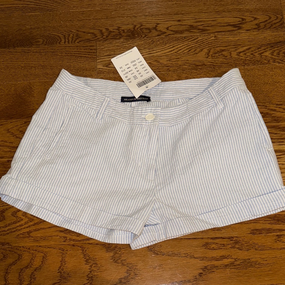 Brandy Melville Blue and White Striped Shorts